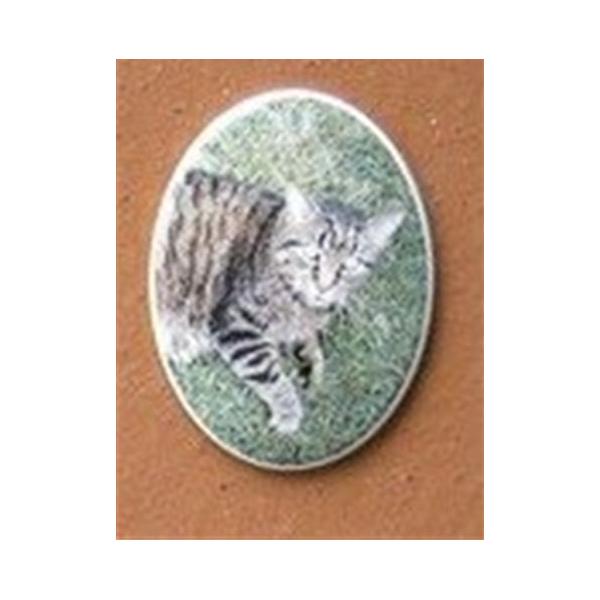 Ceramic Photo TS