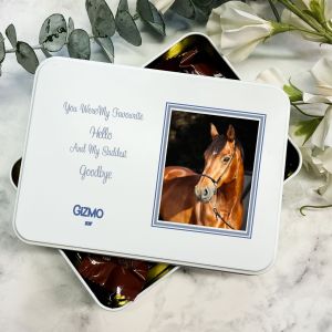 Pet Memorial Keepsake Tin – Saddest Goodbye CVG15