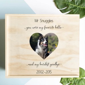 My Favourite Hello – Pet Keepsake Box CVG4
